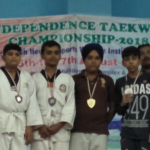 Taekwondo Championship 10