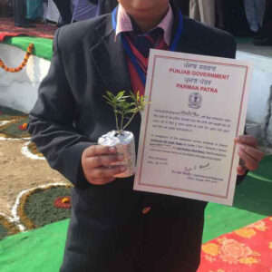 Taekwondo Championship 16